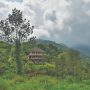 Indian village banks on tree mortgages in bid to go carbon-neutral