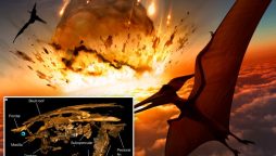dinosaur demise
