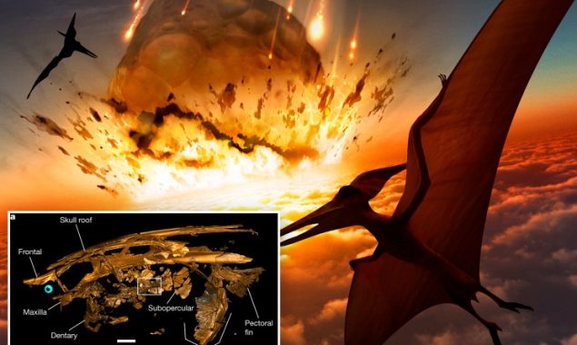 A new study uncovers startling insights concerning dinosaur demise