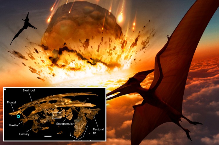 dinosaur demise