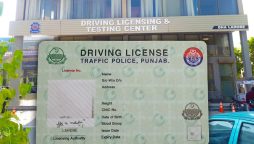 International Driving License