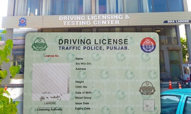 International Driving License