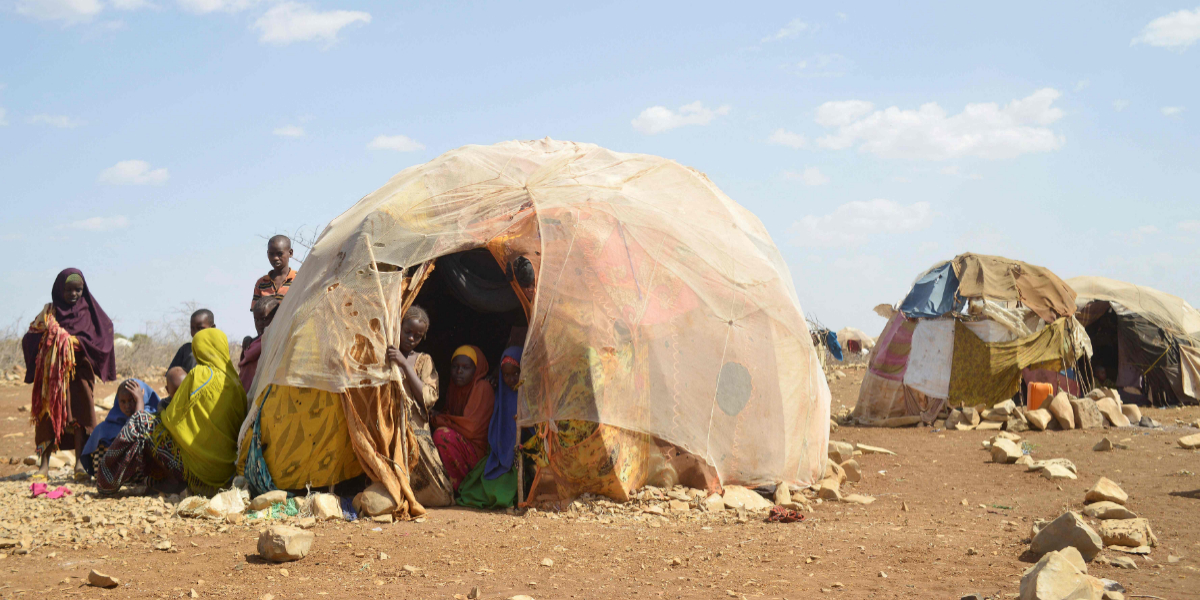 Famine looms