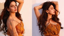 Saba Qamar reveals she will work in Bollywood again!