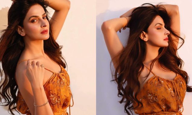 Saba Qamar reveals she will work in Bollywood again!