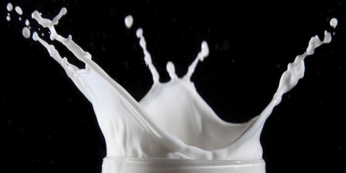 Milk