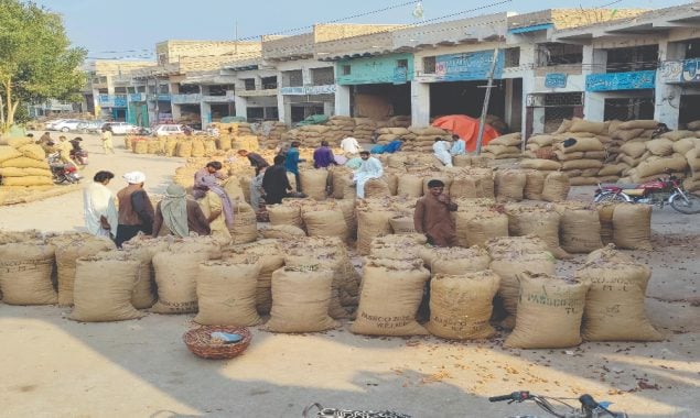 agricultural market
