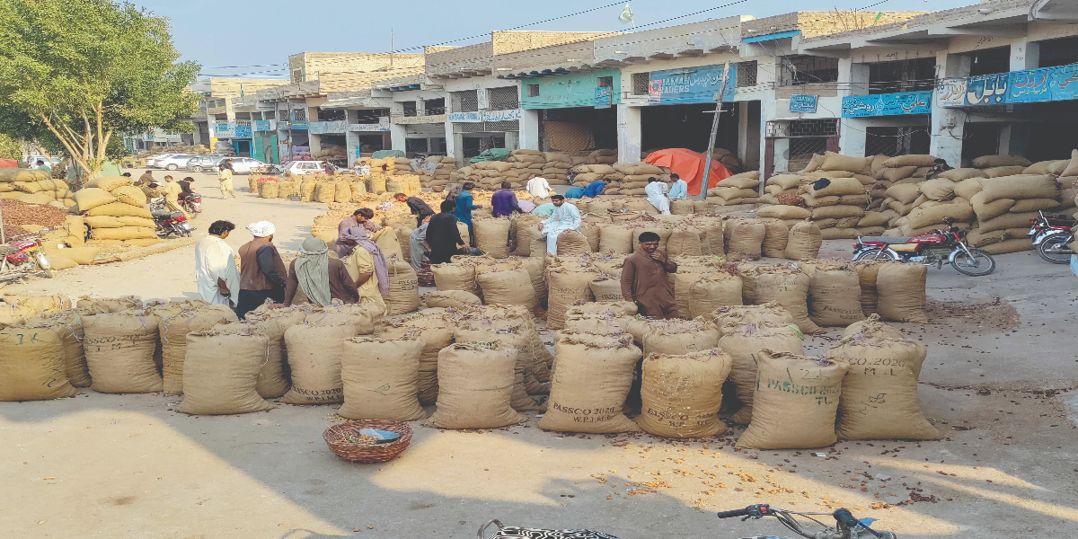 agricultural market