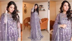 Ramsha Khan is a mauve delight in this lavish outfit, see photos