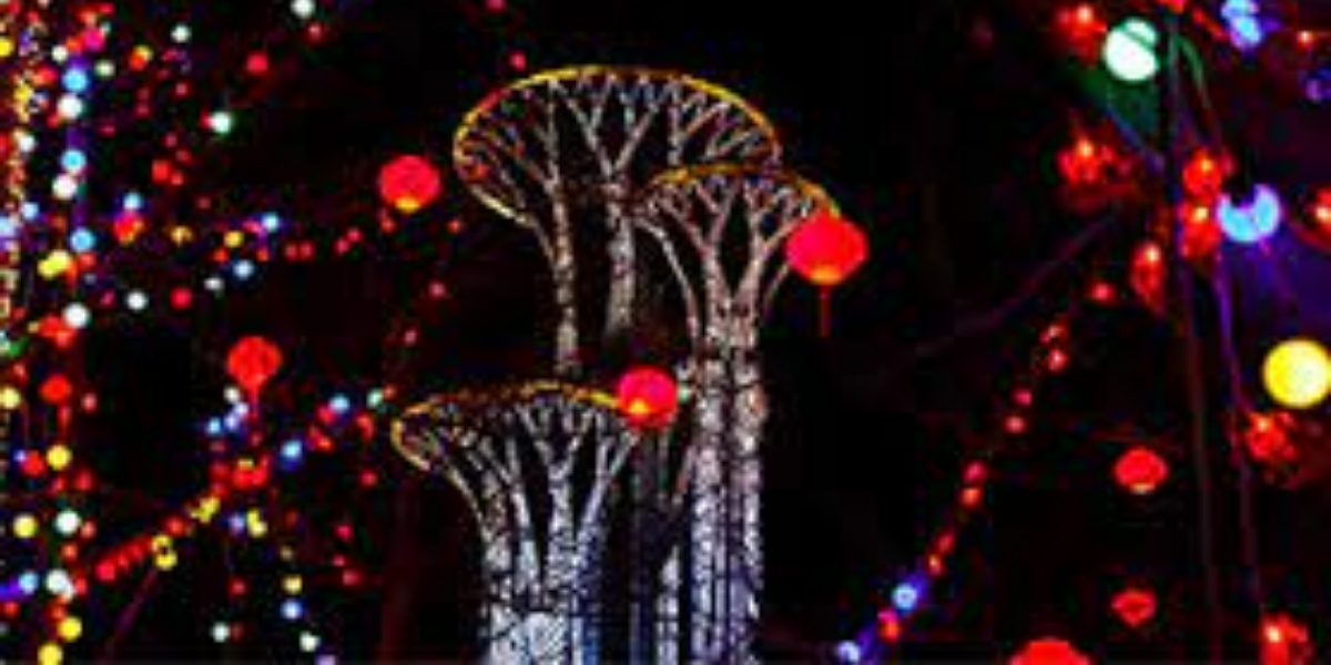 Roundup: Egypt's media hail Beijing Winter Olympics opening show as "amazing," "impressive"