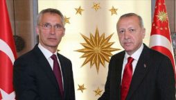 Turkish president, NATO chief discuss Russia-Ukraine tensions