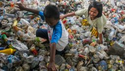 Landmark treaty to rescue ocean life