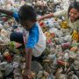 Landmark treaty to rescue ocean life