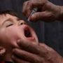 Afghanistan launches polio vaccination targeting 9.1 mln children