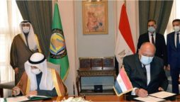 Egypt, GCC sign MoU on political consultations mechanism