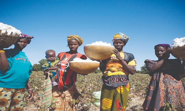 Sanctions put squeeze on Mali’s lucrative cotton sector