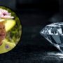 Did you know that Queen Elizabeth II owns the largest diamond in the world!