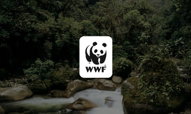 WWF-Pakistan, Novumpack sign deal for environment awareness drives