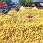Meeting to discuss gur exports issue on February 9