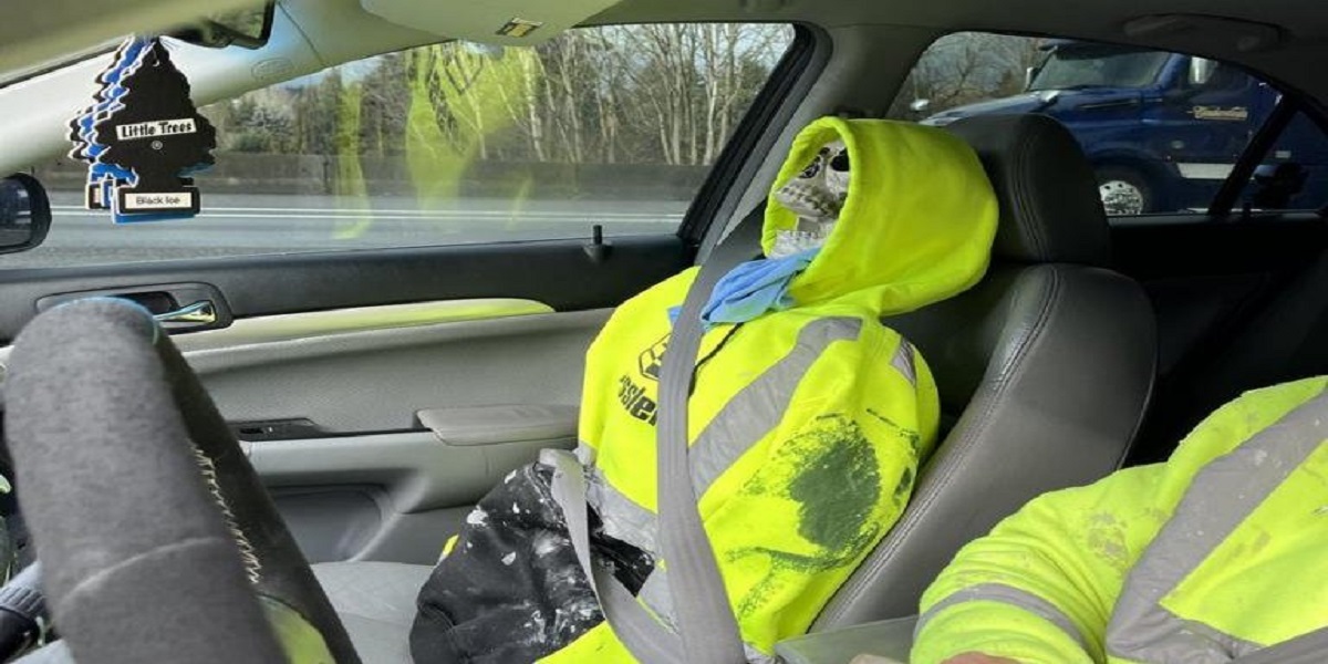 plastic skeleton