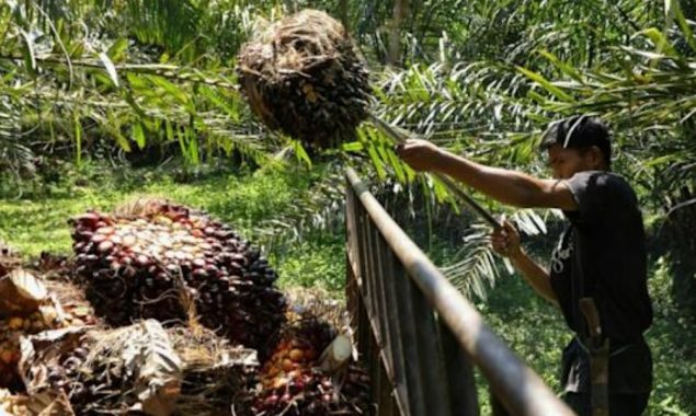 Commodities drive Indonesia