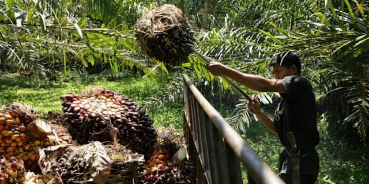 Commodities drive Indonesia