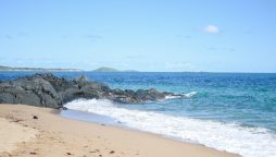 Teen boy dies after being stung by a box jellyfish in Australia