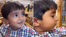 Netizens impressed: little boy is an expert at identifying spices and pulses