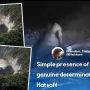 Elephant fell into a pit. Here’s how forest officials used water to save it