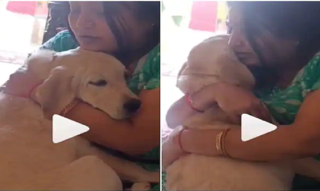 Woman consoles her ‘Betu’ pet dog and hugs him tightly