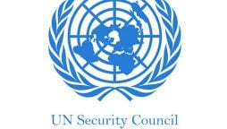 UN security council