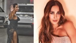 Malaika Arora thigh-high slit dress