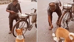 Netizens in Tears: Poor Man Feeds Rice to Stray Dog Goes Viral