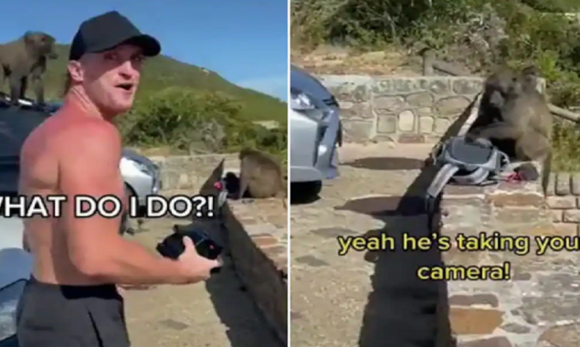 Monkeys chased and robbed YouTuber Logan Paul on his trip goes viral