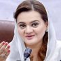 Imran used every institute against Shehbaz Sharif: Marriyum