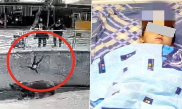 Watch: woman throws her 3-year-old daughter into Zoo’s Bear Pit