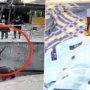 Watch: woman throws her 3-year-old daughter into Zoo’s Bear Pit