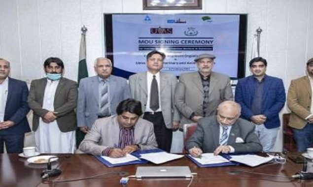 MoU signed for livestock extension workers’ promotion