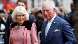 Prince Charles and Camilla pose for an unusual snapshot with royal well-wishers