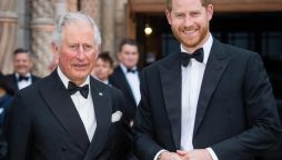 Prince Harry will expose Prince Charles and Princess Diana’s marriage