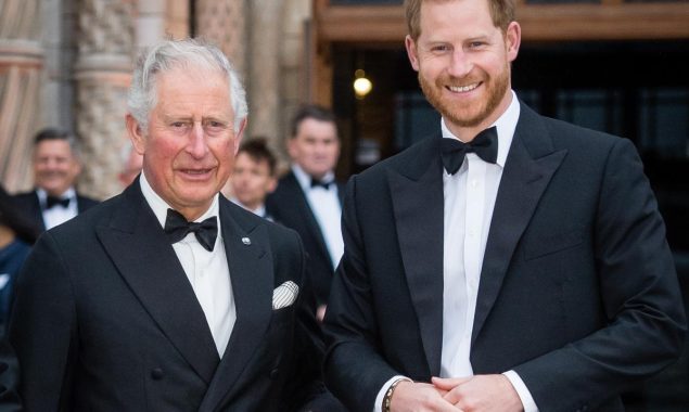 Prince Harry will expose Prince Charles and Princess Diana’s marriage
