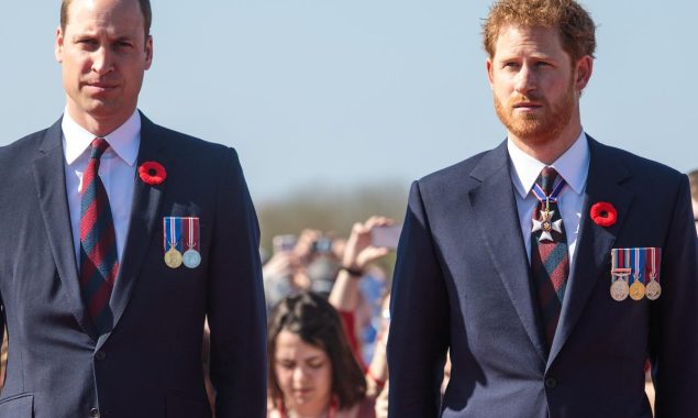 The Queen has told Prince Harry and Prince William that she will not ‘tolerate’ divorce