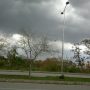 Rain with thunderstorm, dust along gusty winds expected
