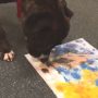 Banksy raised $500 for charity by selling his paintings online