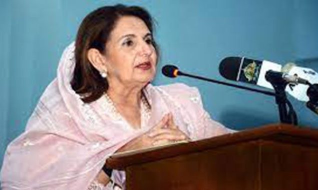 Make breast cancer topics part of higher education curriculum: First Lady Samina Alvi