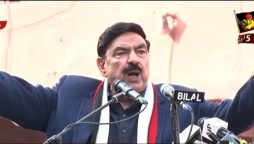 Sheikh Rashid