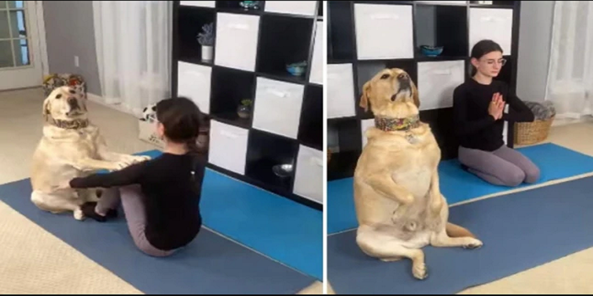 yoga