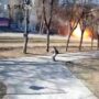 Terrifying: Russian missile explodes into a fireball in the middle of the street