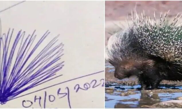 Porcupine or Jhaadu? weird signature of Guwahati official provokes funny memes
