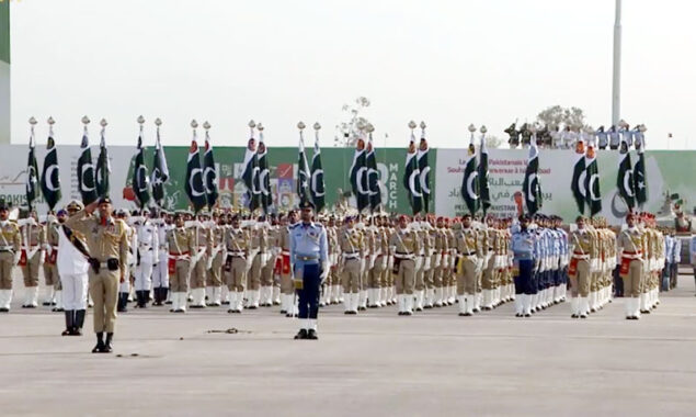 Nation celebrates Pakistan Day with resolve to ensure strong defence of country